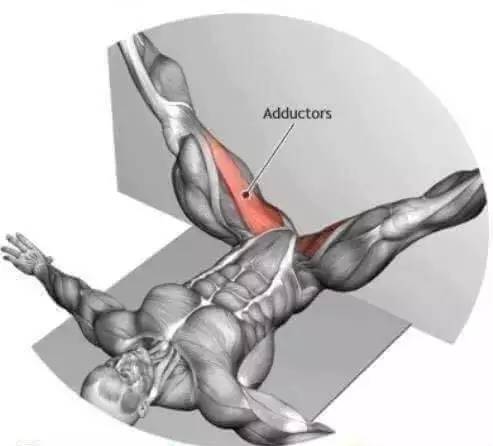 【组图】健身前后的肌肉拉伸图解,侧腰肌肉拉