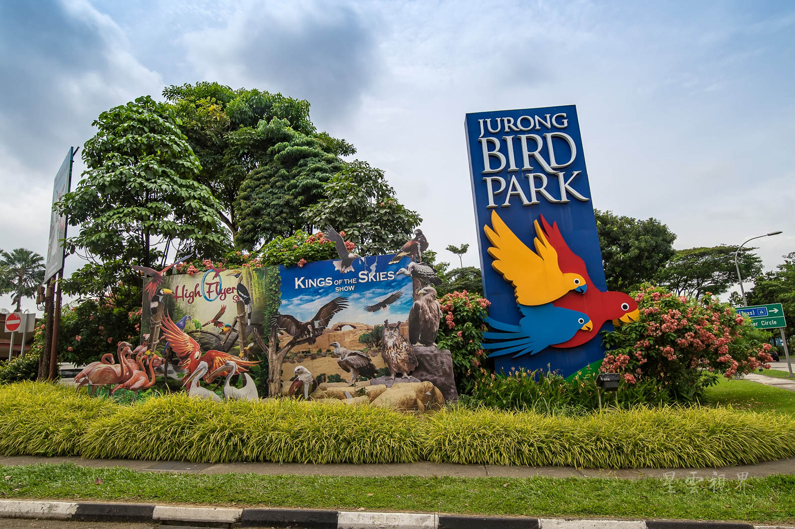 亚洲最大的鸟类天堂 新加坡裕廊飞禽公园