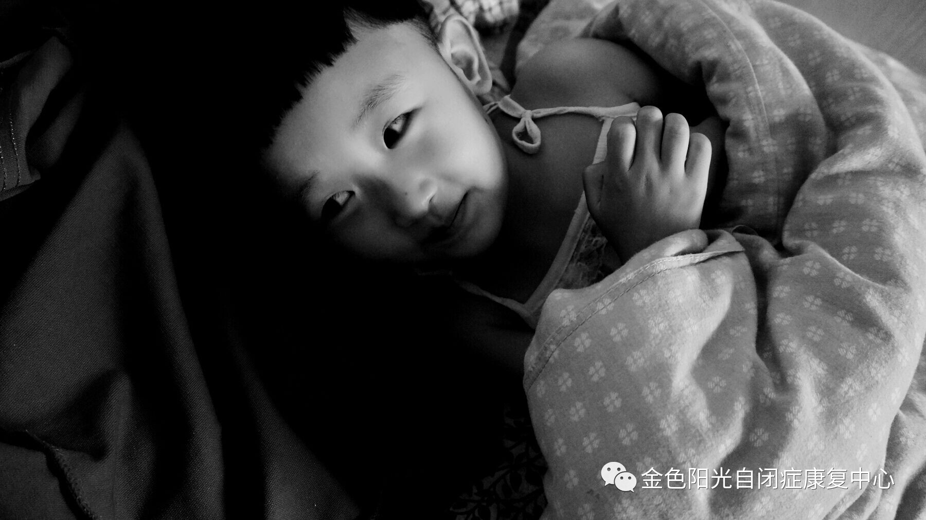 《中国自闭症教育康复行业发展状况报告Ⅱ》蓝