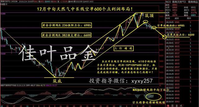 白银市人口2020_2020白银市乡村振兴(3)