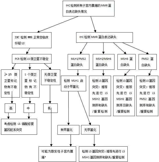 随后对msh6或pms2蛋白表达缺失的病例进行msh2或mlh1免疫组化检测