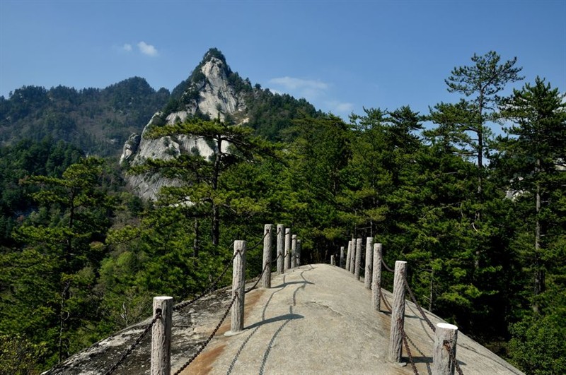 木王山赋:盛世造就生态景,敢叫木王天下先!