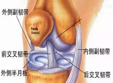 膝盖外侧痛?小心"跑步膝"-髂胫束摩擦综合征!