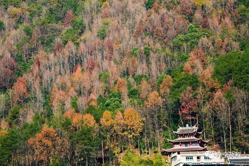 政和旅游醉美熊山红叶