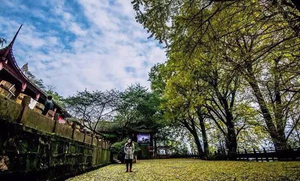 雨城雅安,川藏第一站,此生应该去的美景之一