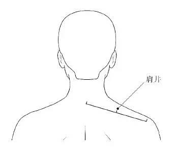 天宗在肩胛上,大致在 肩胛骨的正中,冈下窝中央凹陷处,与第四胸椎相平