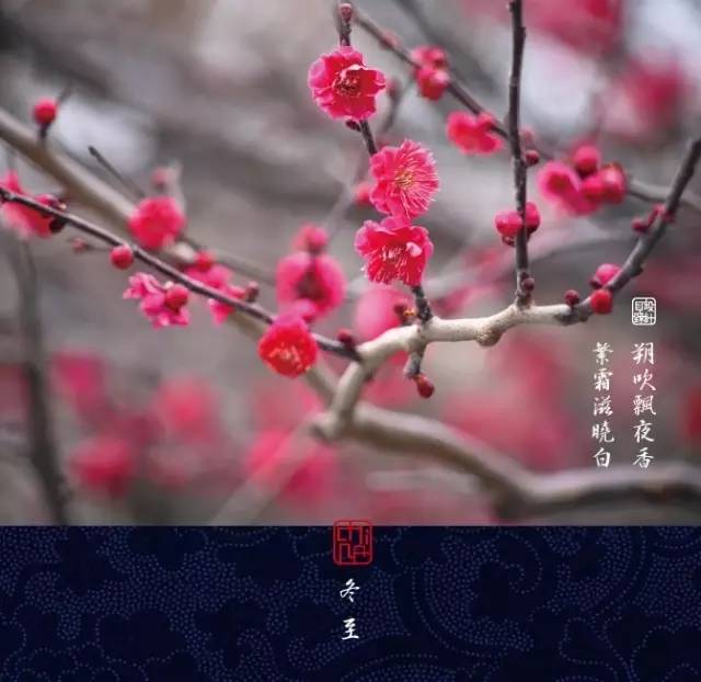 《霜天晓角·梅 》(范成大) - 君自故乡来,应知故乡事. 来日绮窗前