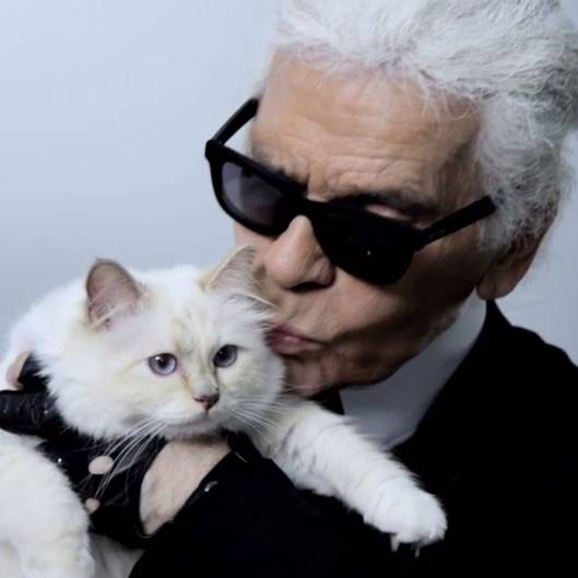 老佛爷又有新男宠了!盘点karl lagerfeld 后宫团历代