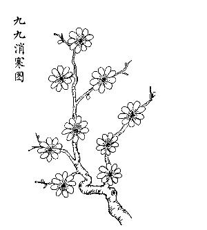 冬至岁时话民俗九九消寒图