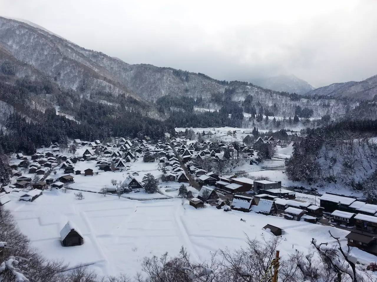 再美丽的雪国,再美好的情感,也只是虚无与悲叹.