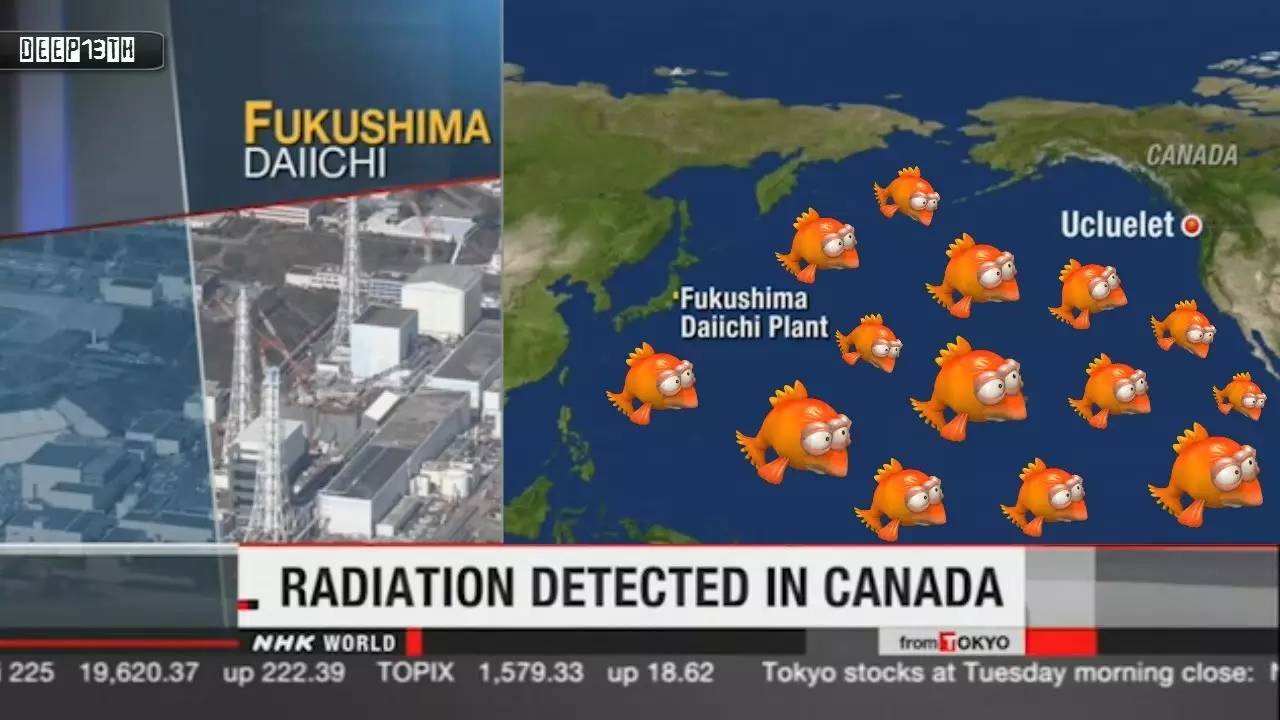 0级地震导致福岛县两座核电站反应堆发生故障,爆炸起火.