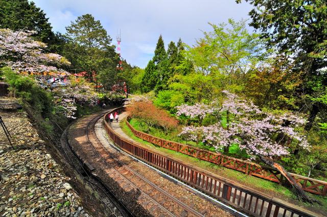 阿里山:台湾最壮丽的山色日月潭面积不大,比西湖(门票)略大,远太湖.