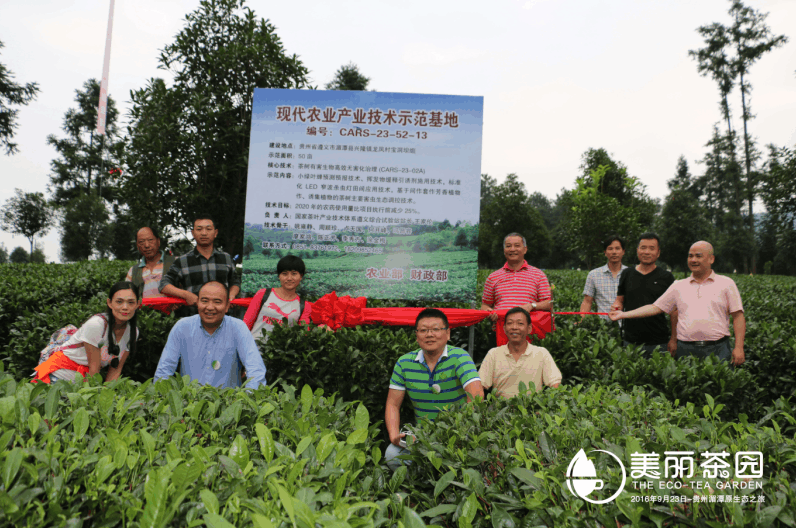 现代农业产业技术示范基地—美丽茶园湄潭翠芽茶具有较强的核心竞争力