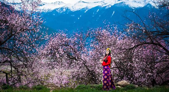 三月林芝桃花节从成都包车到西藏林芝多少钱