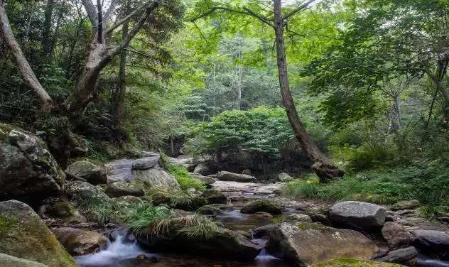 纯溪小镇, 隐藏在山野的世外桃源