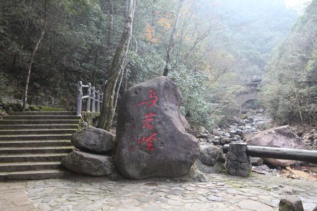 乌岩岭景区属于国家级自然保护区,位于浙江温州泰顺西北部,靠近福建