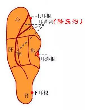 在人口耳_作者:安德烈·卡拉尔等