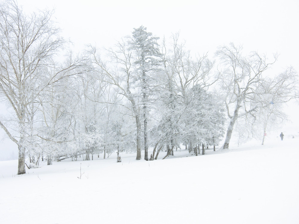 舞动醉美雪乡 满世界白雪皑皑