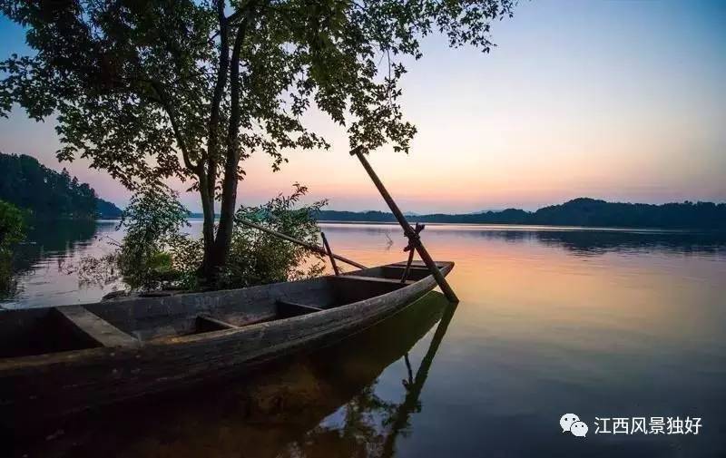 龙应台很尴尬祖国大好河山风景这边独好