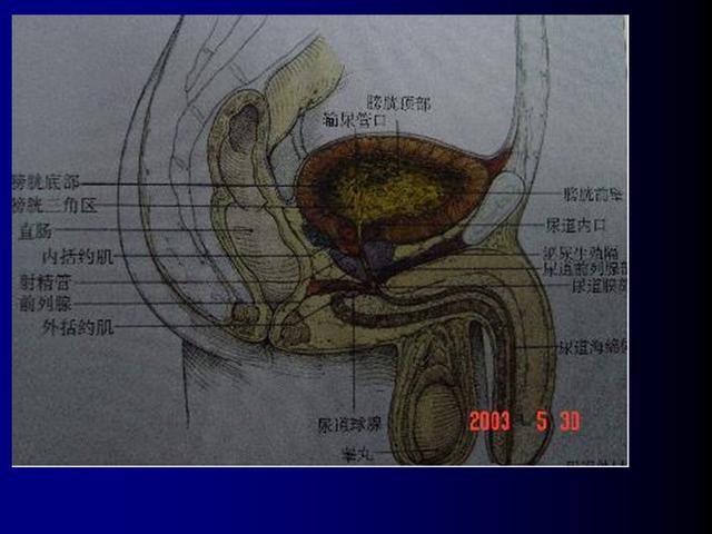 膀胱镜便捷的泌尿系疾病筛查手段