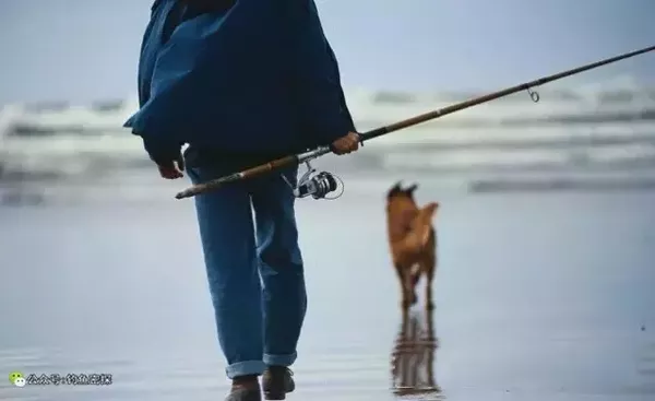 冬季钓鱼技能：只有把这些做对了，才能够钓到鱼！