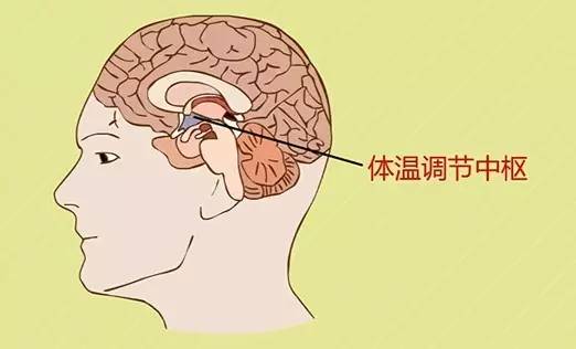 发烧后,捂一身汗就能好吗?| 壹读精选