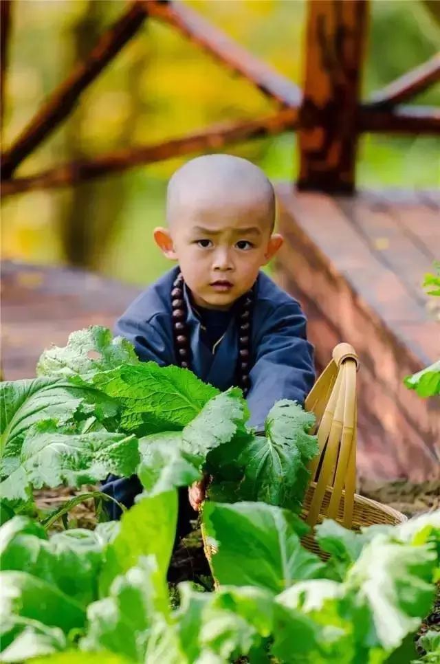 中国史上最萌小和尚,就藏在贵州的一座深山里