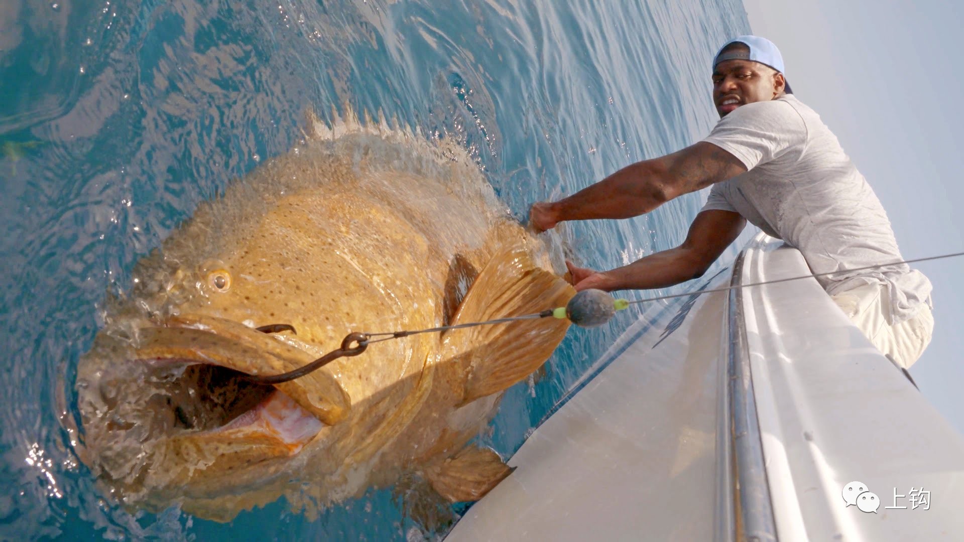 世界第三大石斑鱼,和姚明差不多高,卖了5000英镑
