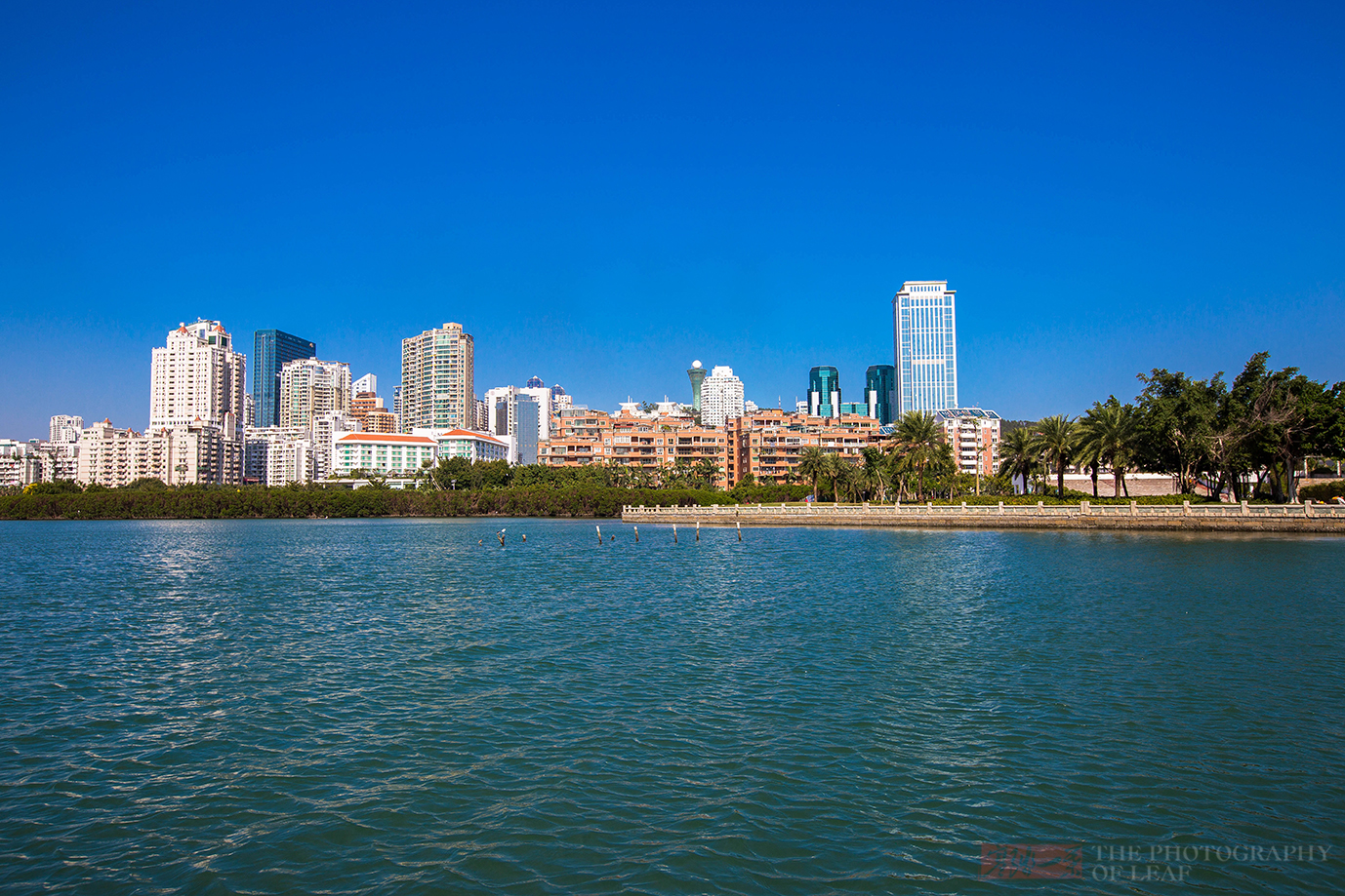 厦门八大景之筼筜湖,一湾湖水造就厦门的小资天堂