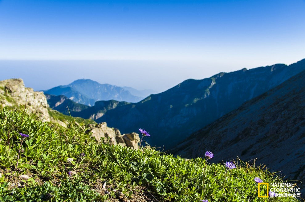 冬天的鳌山,我的梦已经醉在你日出时分的天籁里!