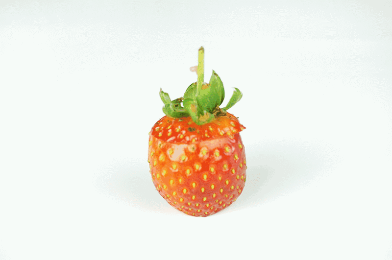 我能想到最浪漫的事,就是给你种草莓,嘿嘿嘿.