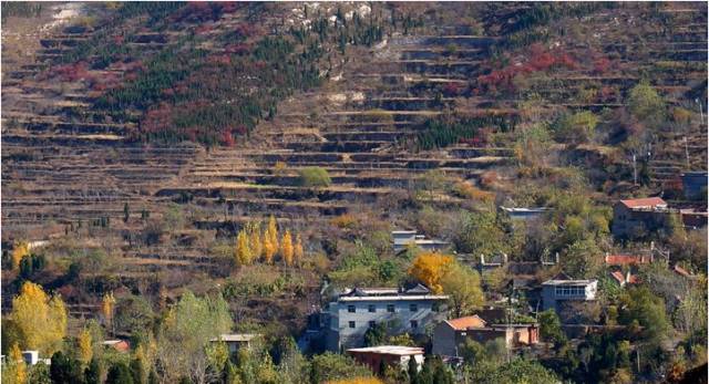 董团乡仙山村有多少人口_武鸣锣圩镇仙山村公章