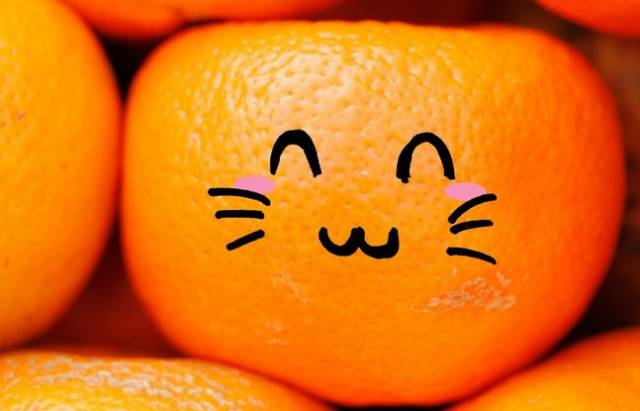 橙子根本没有什么公母之分,肚脐只是它的副果(具有橘瓣状结构,但发育