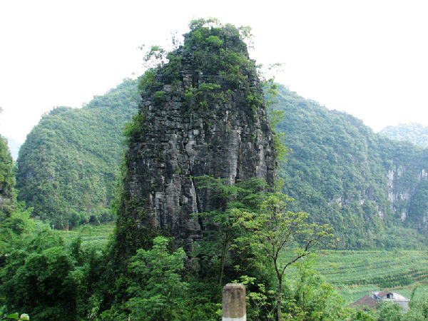 旅游 正文  金钗石林又叫"天府石林城堡",位于马山县金钗镇龙塘村天府