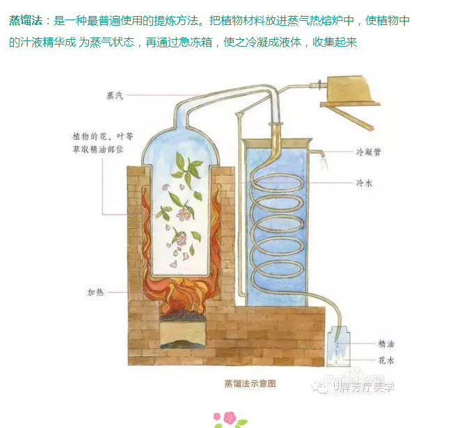 压榨法(主要用于果实,种子等萃取部位)