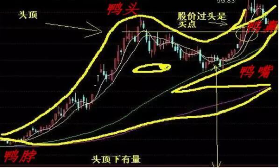 抓妖股(股王)绝技—老鸭头图解(图1)