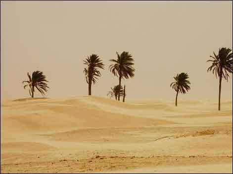 世界上最大的撒哈拉沙漠是怎么形成的?你知道