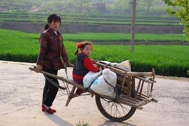 手推车,因为是用手把持着前进,在农村人们又情切的称它为"奔驰".