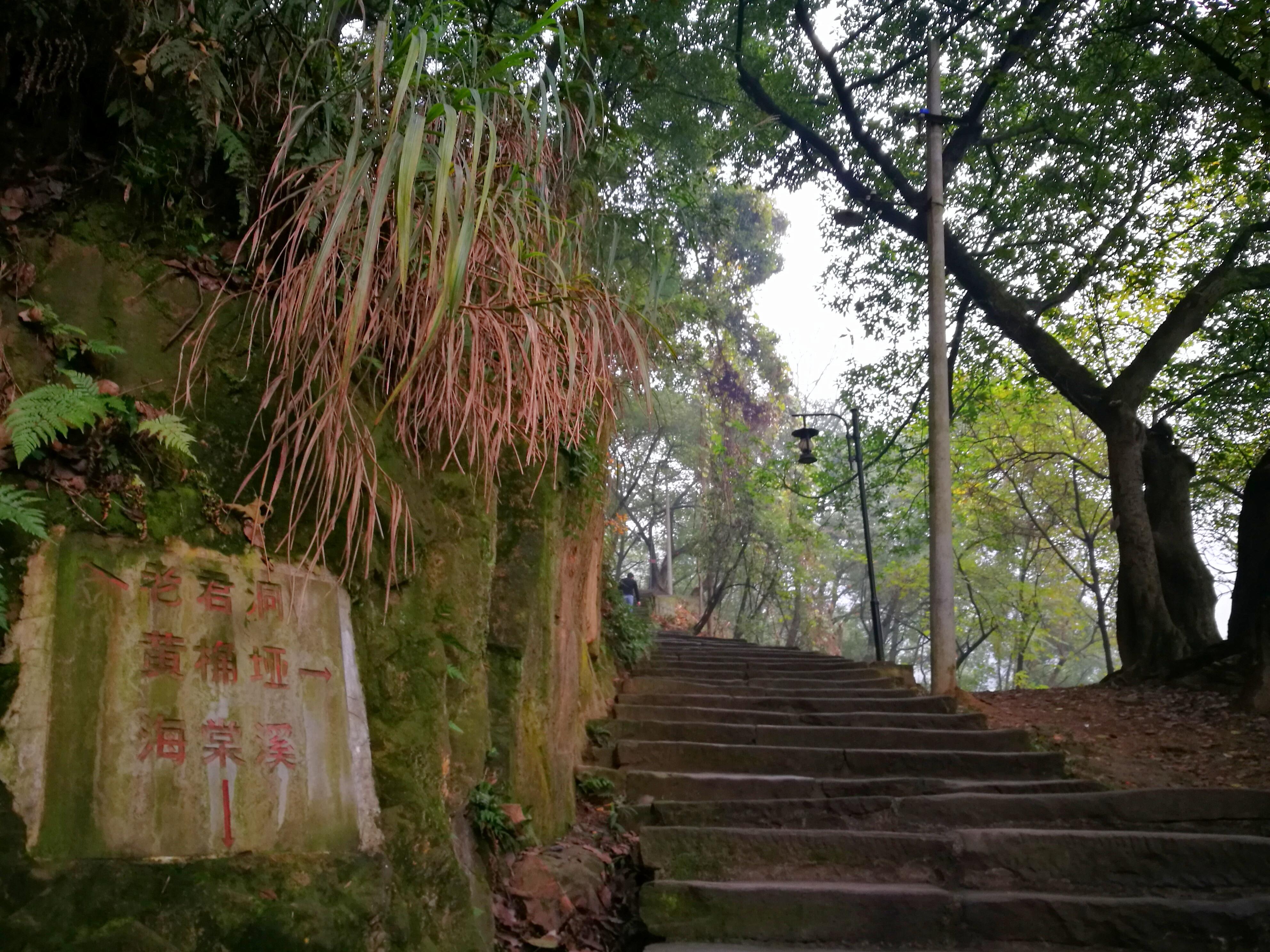 雾霾笼罩着重庆,我们能否去南山黄葛古道吸吸氧?