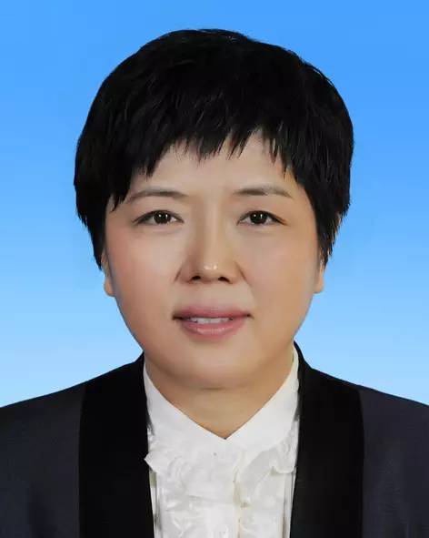 现任北京市昌平区人民政府副区长,北京市昌平区北七家镇党委书记.
