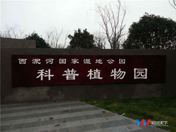 利辛湿地公园与网谈天下签约"中国梦品牌战略"