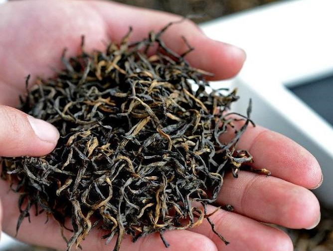 正山小种红茶价格,正山小种红茶多少钱一斤?