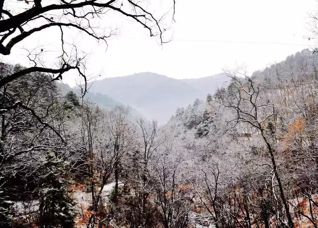 美图赏析：冬雪不负，塞北天堂