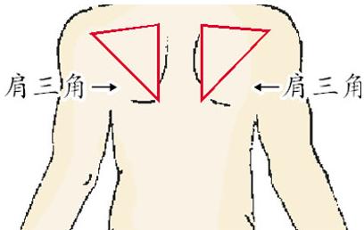 人身上的那些三角区,"危险三角区"不可随意挤压