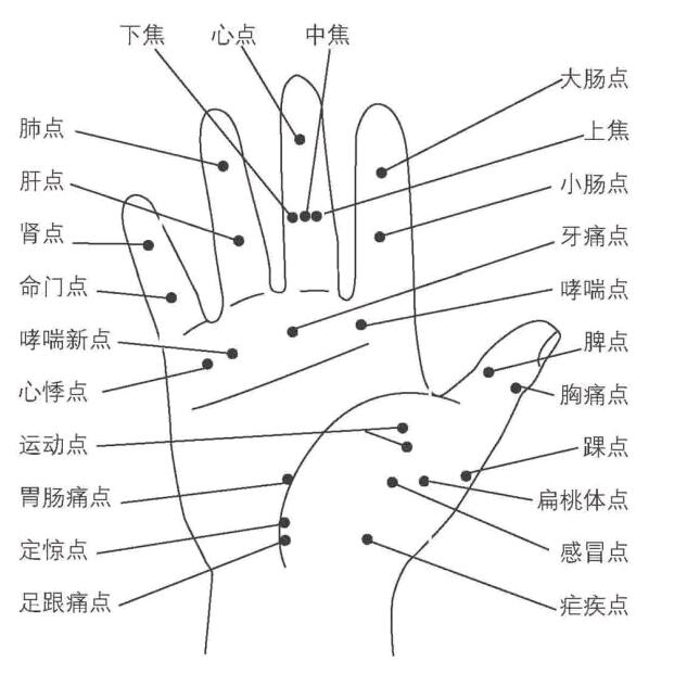 曲池简谱_儿歌简谱(3)