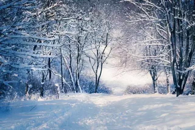 美图赏析：冬雪不负，塞北天堂