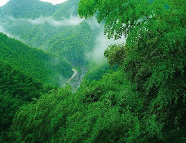 1.《卧虎藏龙》外景拍摄地:浙江湖州安吉大竹海景区