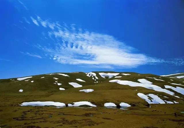 先锋旅游丨冬游会泽大海草山,烤着洋芋看最美雪景