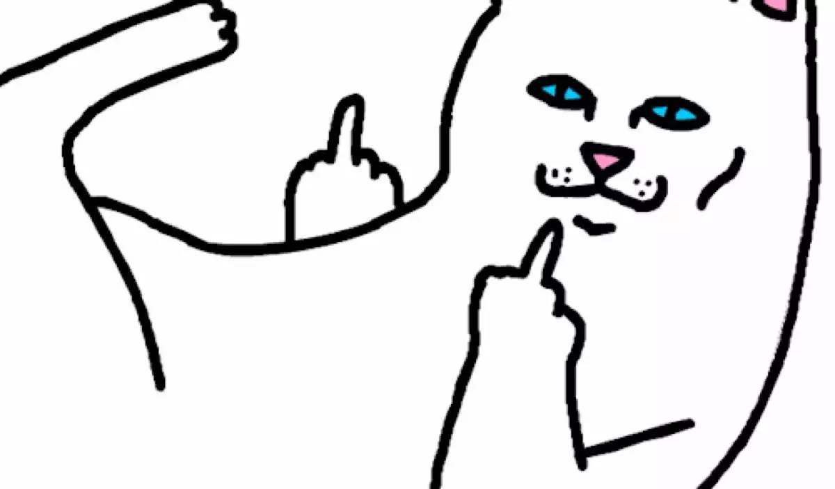 Кот показывает средний палец Мем