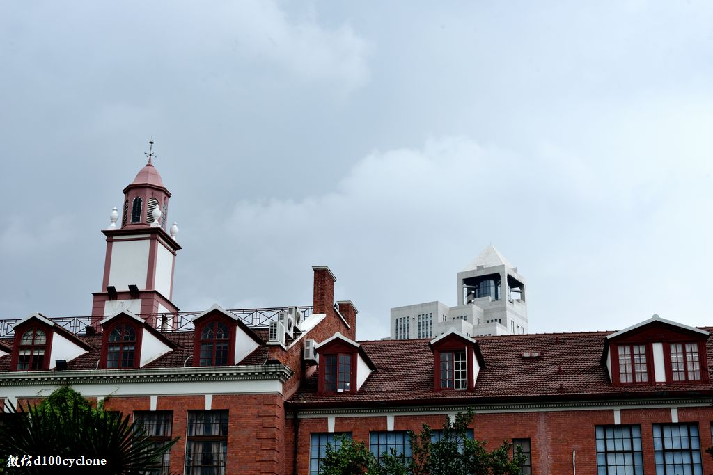 最美街景衡山路,斜风细雨独自游